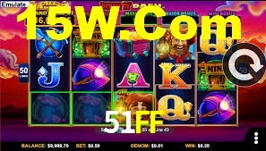 51FF App Interface