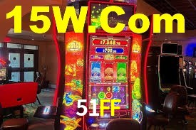 Premium Interface 51FF